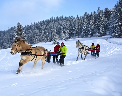 Ski Joering